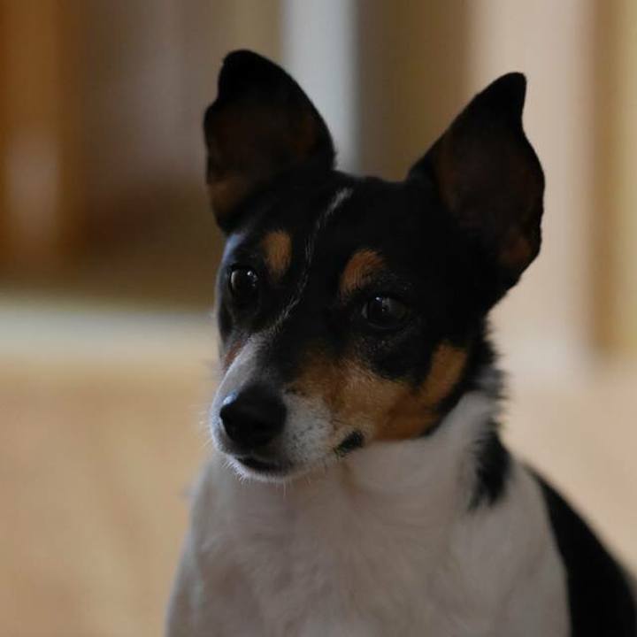 05c0d25d 6cb5 48dd b9af a3d7610bea3a