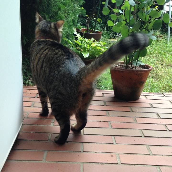 05c0e564 7fc1 4e34 9087 dcf5ee97a829