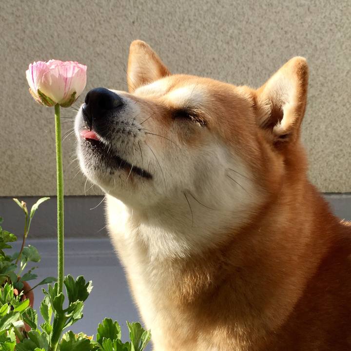 05c16bf3 e234 4499 b674 ab3dc167ba7c