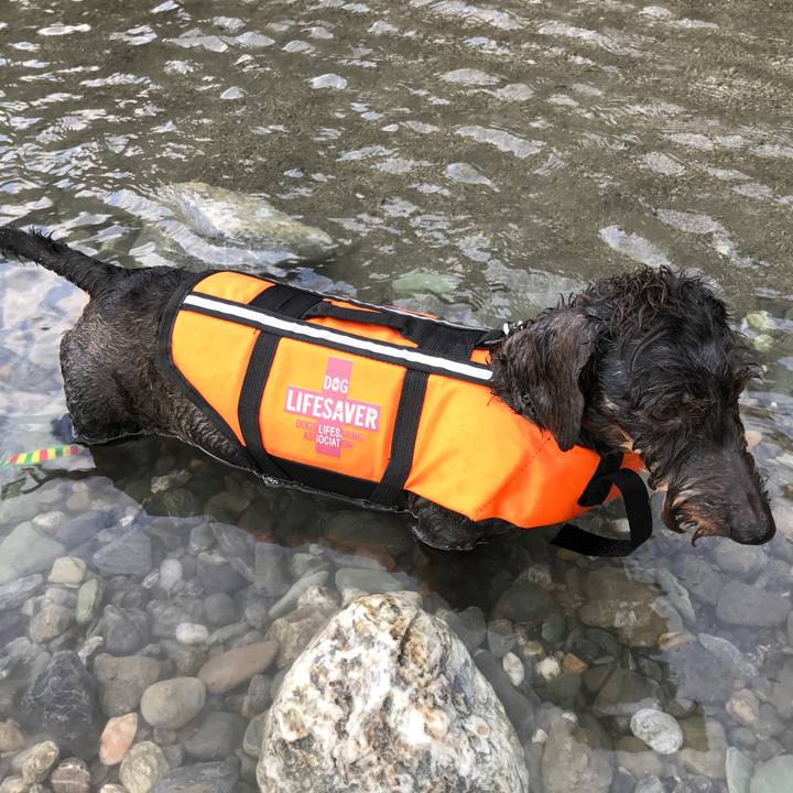 05c18ccf 4cbb 44b8 8325 37f80510d293