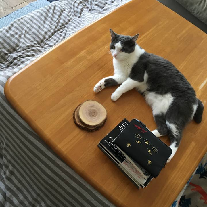 05c20019 d82d 40ef b878 d25c11ba4541