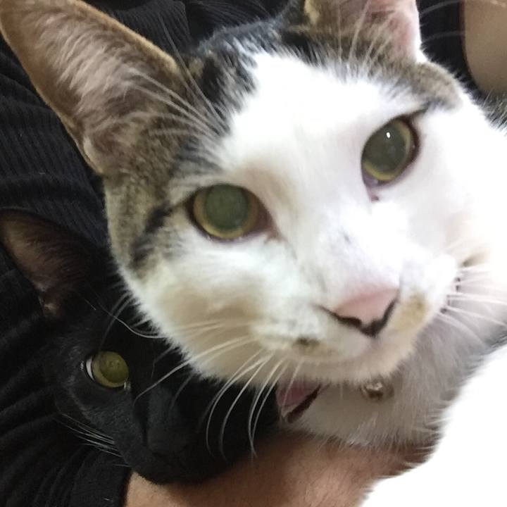 05c27439 0f6c 48af b05d c24905e11173