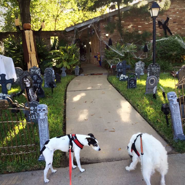 05c3e225 abf7 464e 812e 7fbf8382cf6b