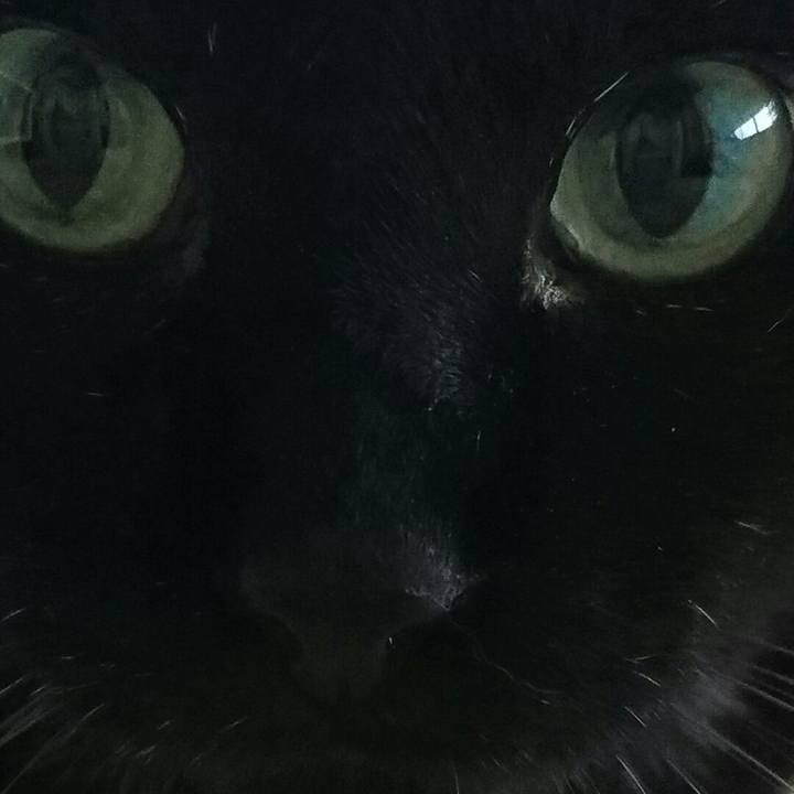 05c5bdf3 7279 4035 92e4 9242d493026e