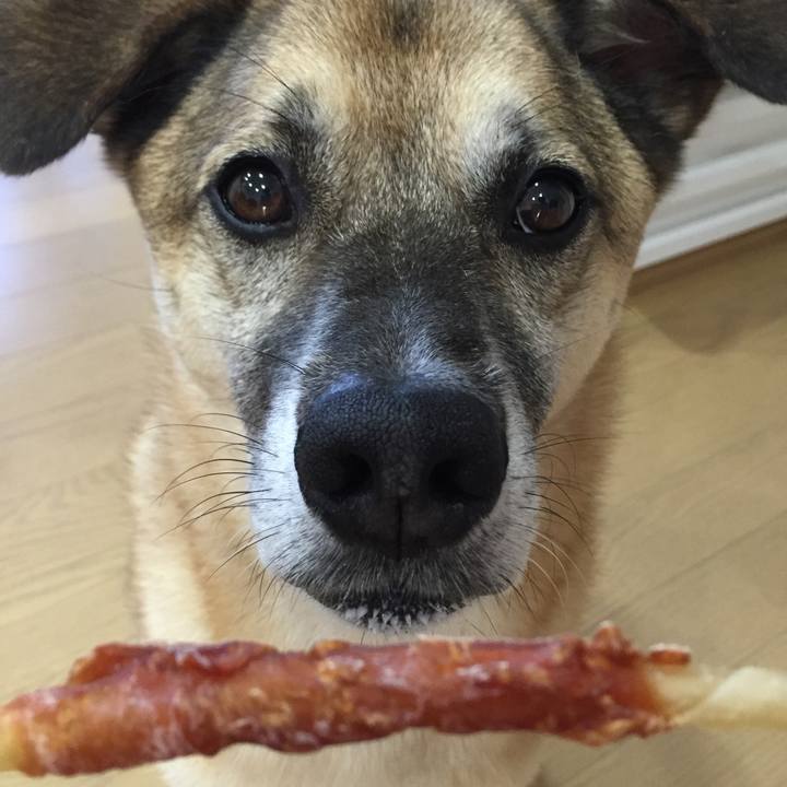 05c61779 b6c2 40f0 8196 bd38681e4f86