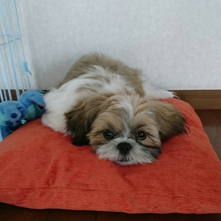 05c6282c e117 4c9b 9024 7b38a46ad702