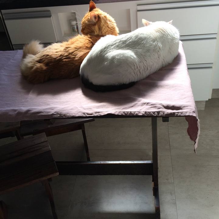 05c66759 c450 47aa a784 62db8f21220a