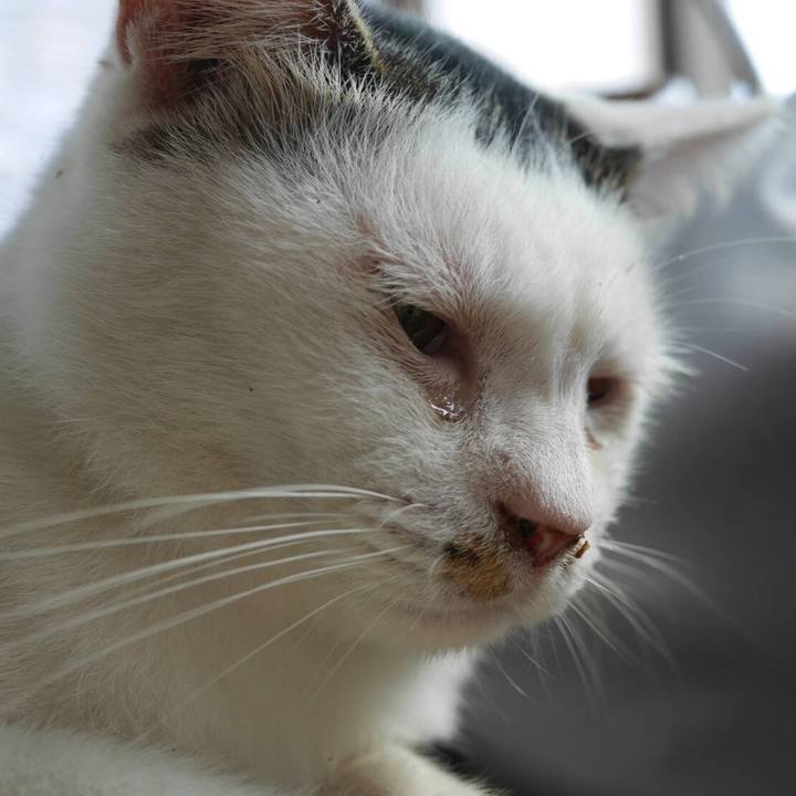 05c6b218 8a8b 4540 8441 cfd5d65ecd8d