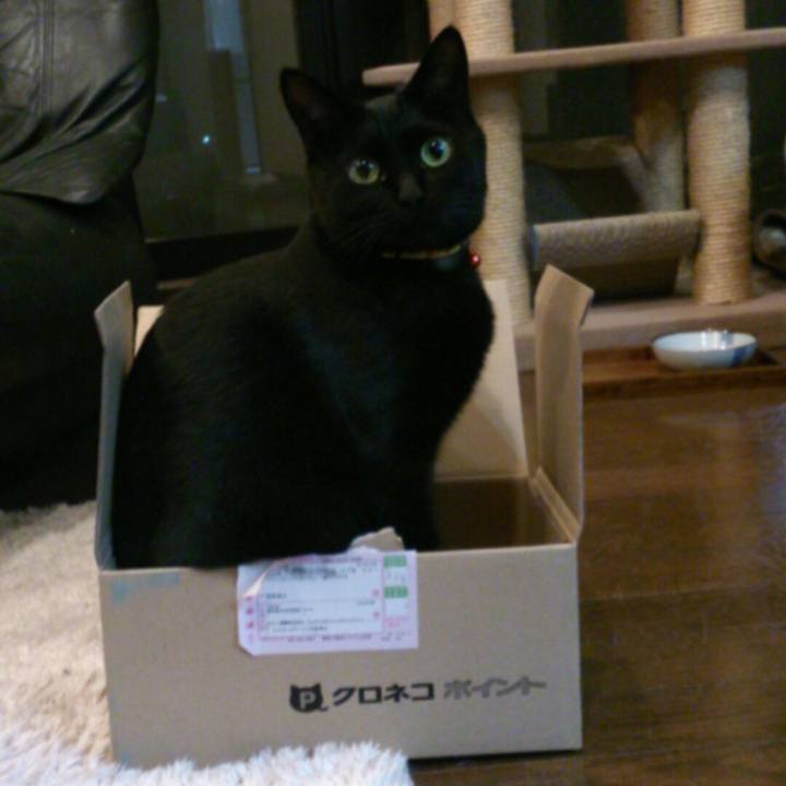 05c70366 377a 4695 b9dc 41980d517e37