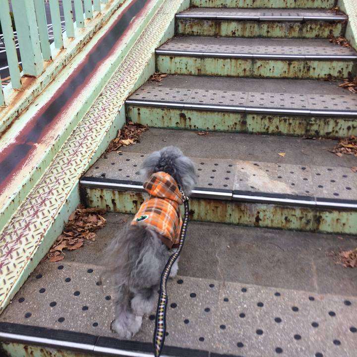 05c7dd86 a0db 4901 9669 33b0c45aa2b5