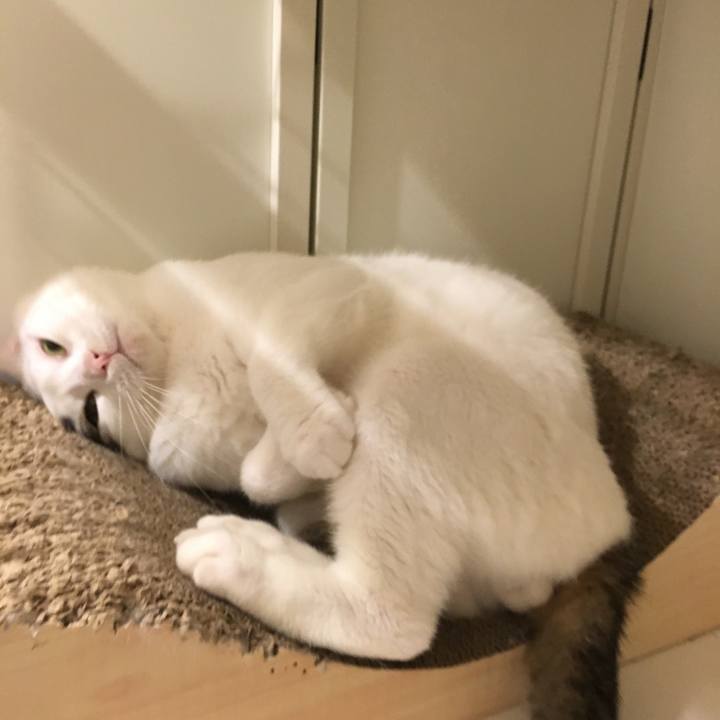 05c7e334 7e5e 4185 b756 7e6a75f117d3