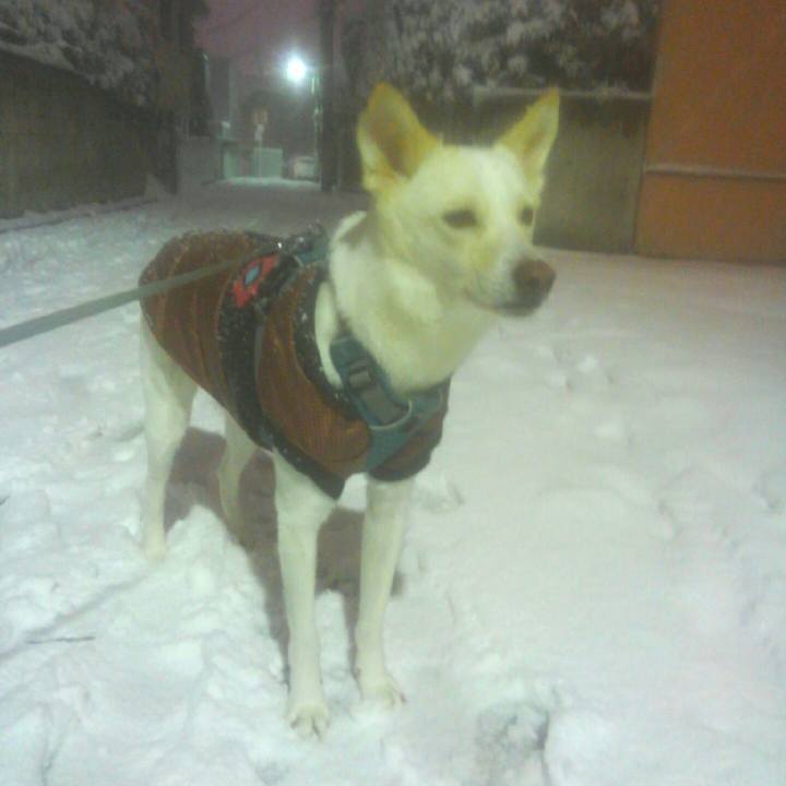 05c85652 3b67 463b 93cf 7e3f05c4a048