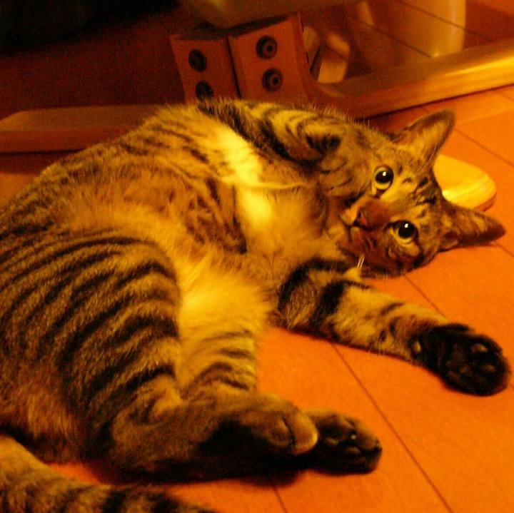 05c8de01 eb91 4040 8897 41405cc87ed4