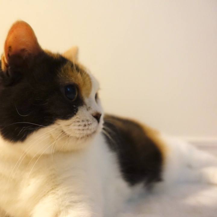 05c92188 3b93 45ec a1fd d72c3113f625