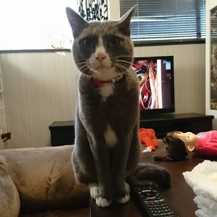 05c9da18 35f9 4cfb a95d a71751d2ec1d