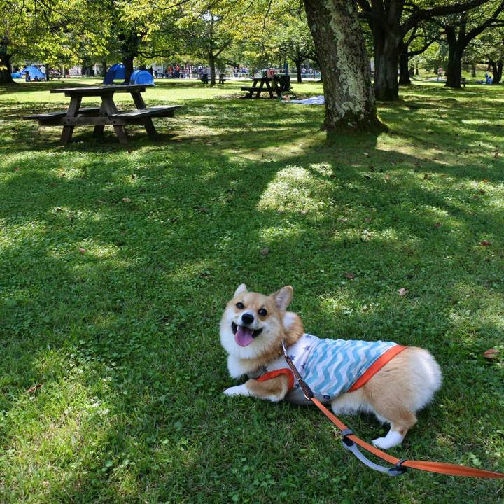 05ca348b 5344 41f3 8f5b cdf859976809