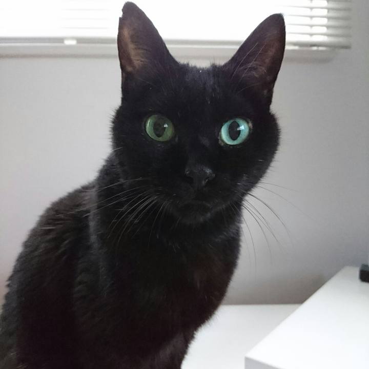 05cab502 49c0 48a9 acf3 48cc36a73ece