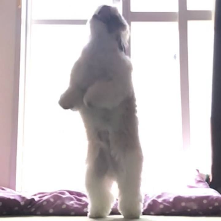 05cae874 56e7 4174 95f6 c07b35852277