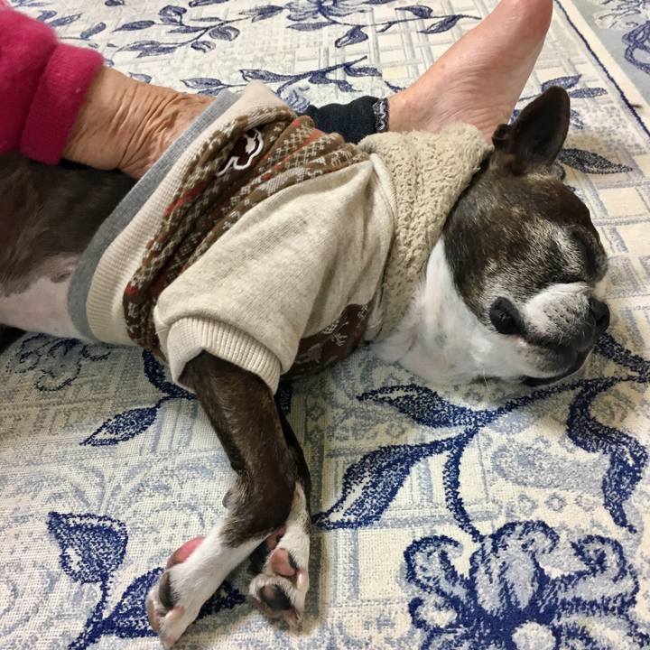 05cbd5c6 5940 452c a955 bd58f6310b3d