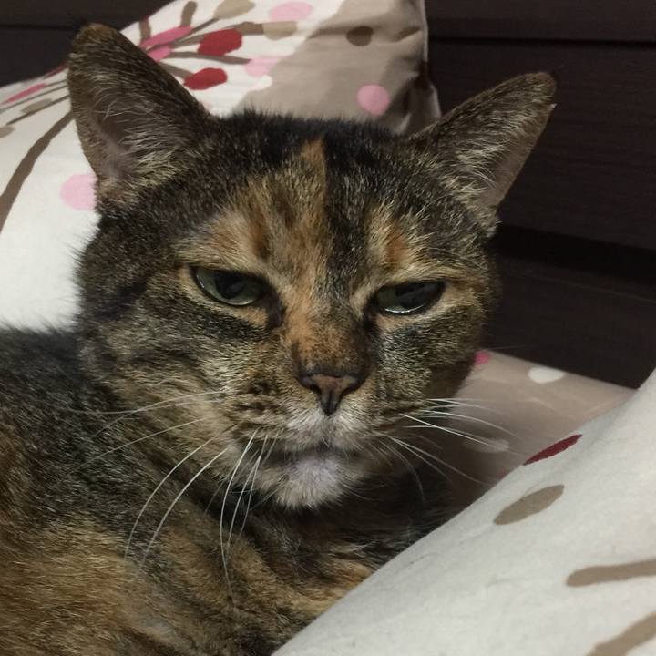 05ccb628 b260 4f44 8f09 dfd6ad38e4a9