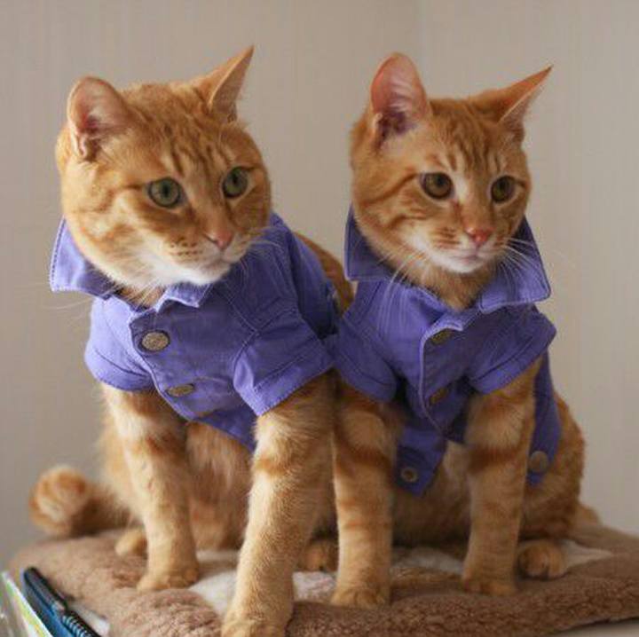 05ccd76e aa0f 4938 ada6 03ceda3caba2