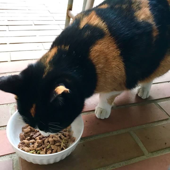 05cdf3ad c75b 4e1b a049 12428027f7a2