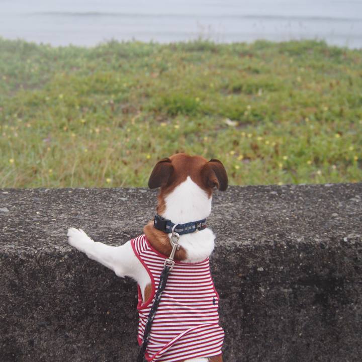 05cf3287 04c9 4454 bb61 b70d5e73b17d