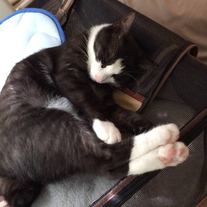 05cfd8e4 8443 4c7e 969b b8b074632947