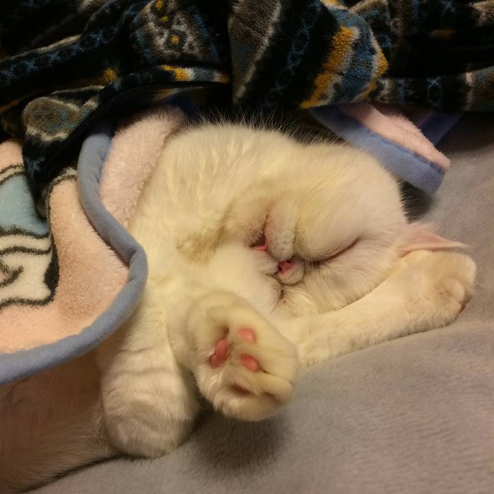 05d047a5 afe3 44cf b57a 7deac6ea7900