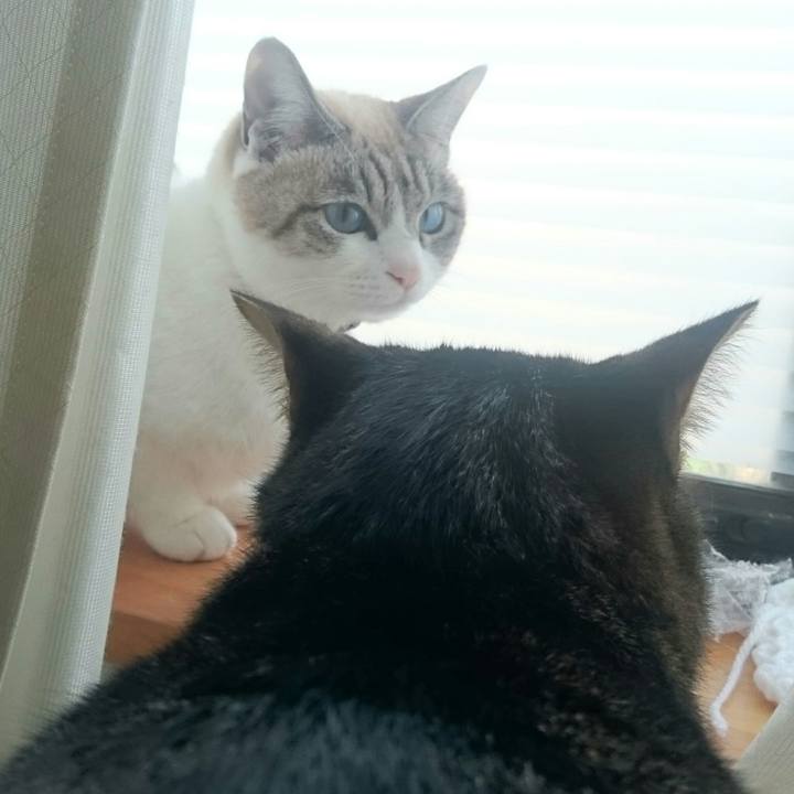 05d0618e 4e83 4ef6 8c76 104cb6429f13