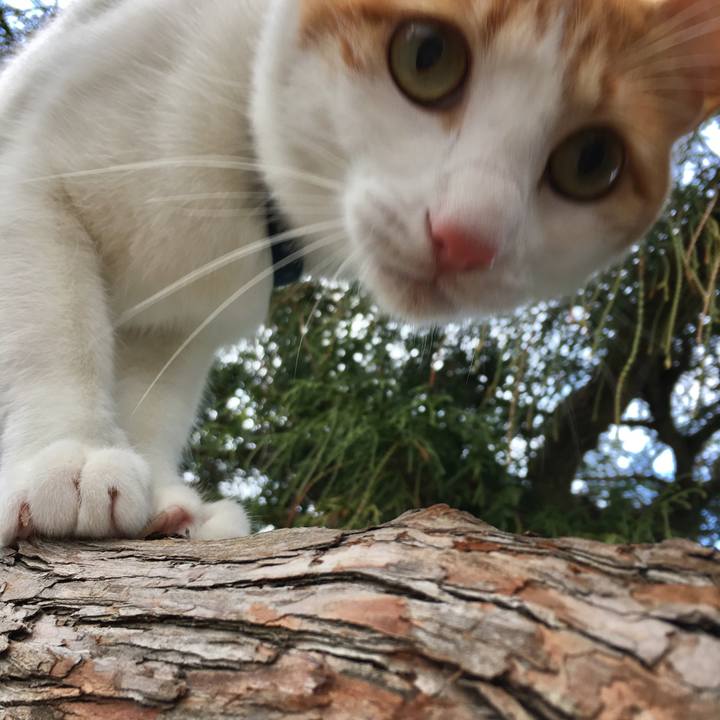 05d0f166 4c1e 4f87 9bf8 591ce2df894d