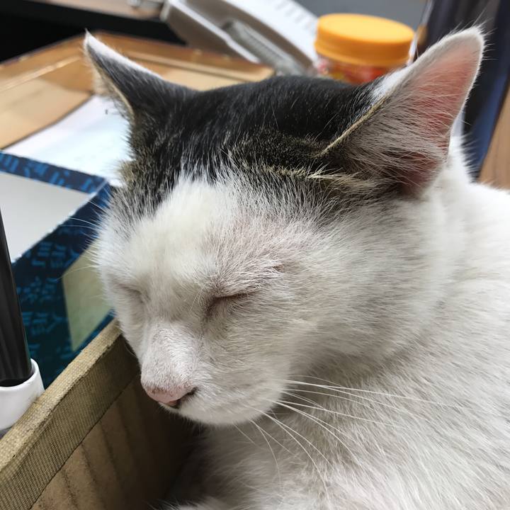 05d150b6 9d8e 4485 886f d0cd7a8d3e4c