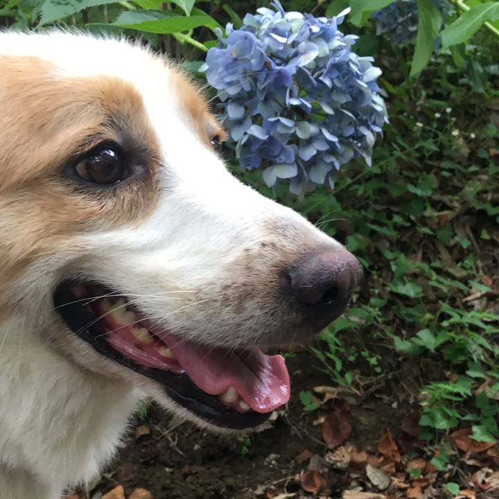 05d30750 2c7b 46f4 8af4 1a3a6a8ea44c