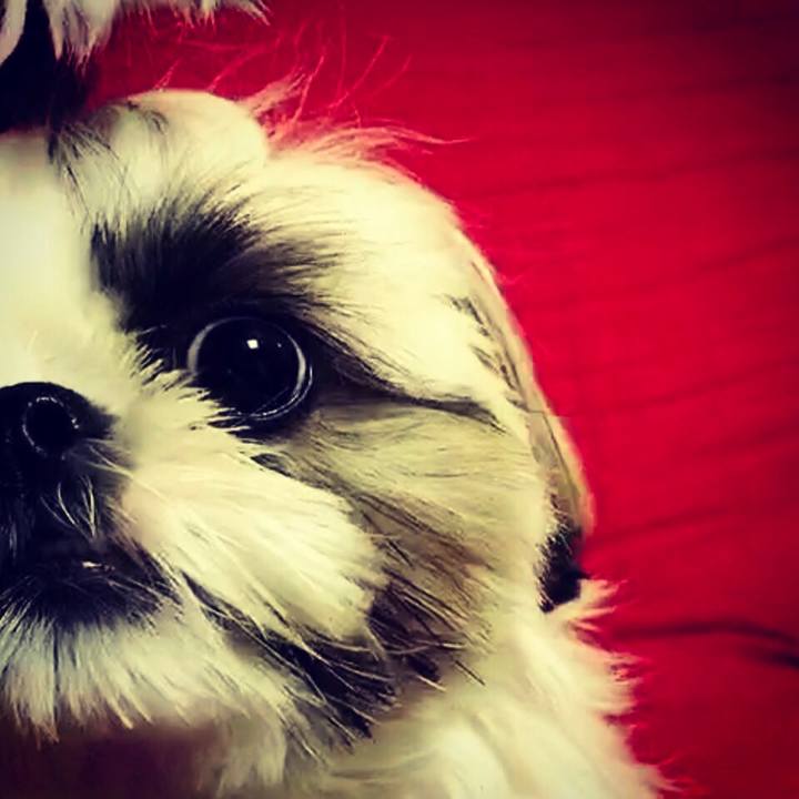 05d327ce 98c9 4603 8e1c cb2148ecdeb2