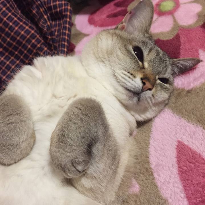 05d36b8e cfd8 4ff0 a5c0 86a1d1bff394