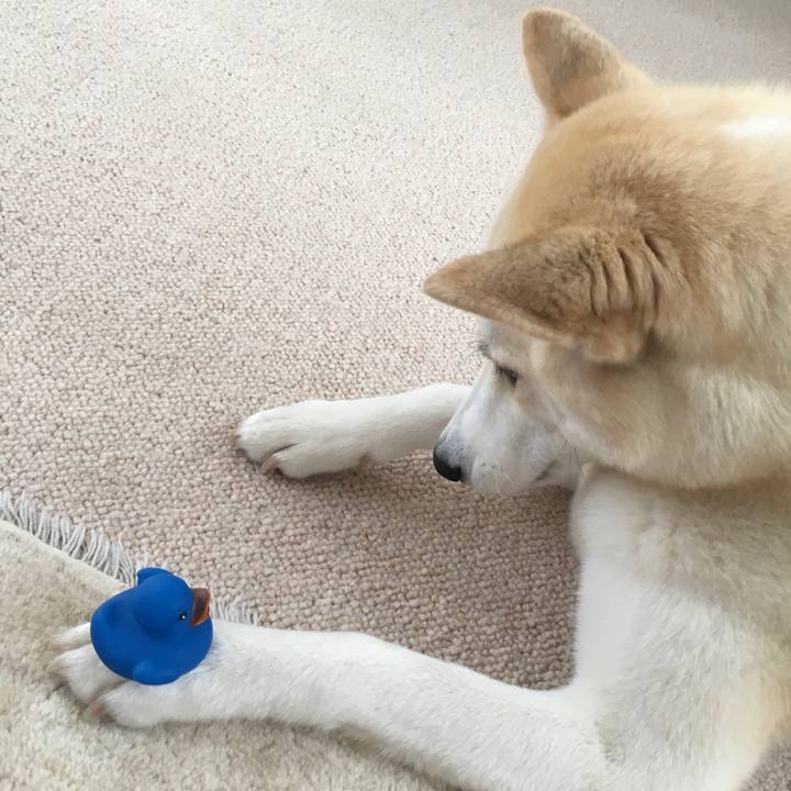 05d4608a 1827 4bb7 9ece ca66e2581c20