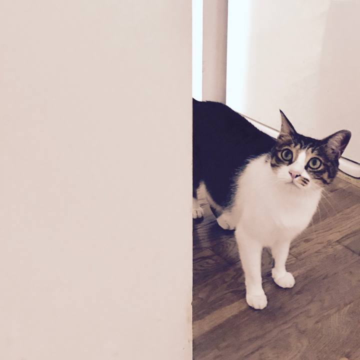 05d4b42c 91e7 41c0 895f b9688b4d7bc1