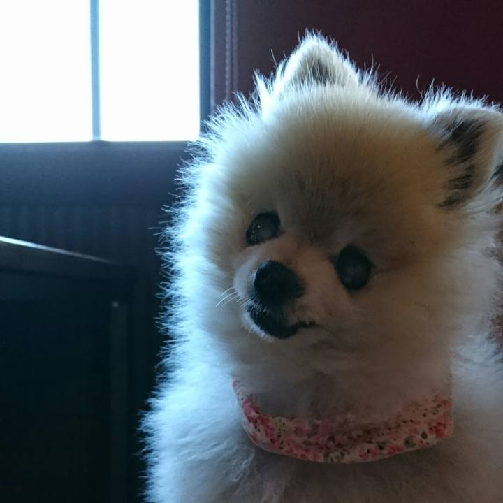 05d4bdc4 a1c9 422a 8964 98de38c9f3be