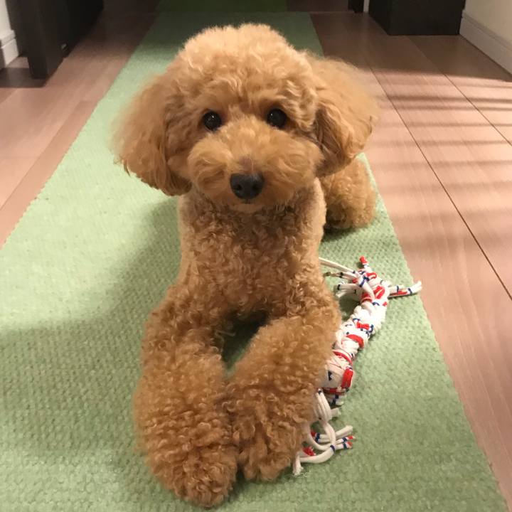 05d4ed3b 8ed0 4d88 9af1 960a945f00da