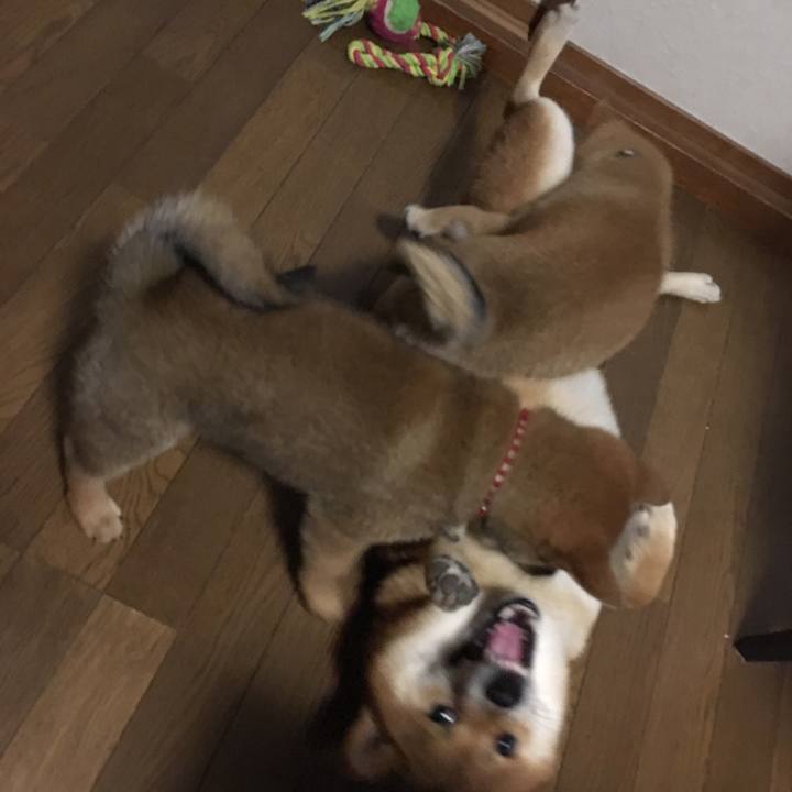 05d51cbd d6ba 4a01 9c66 2a0bdc156e83