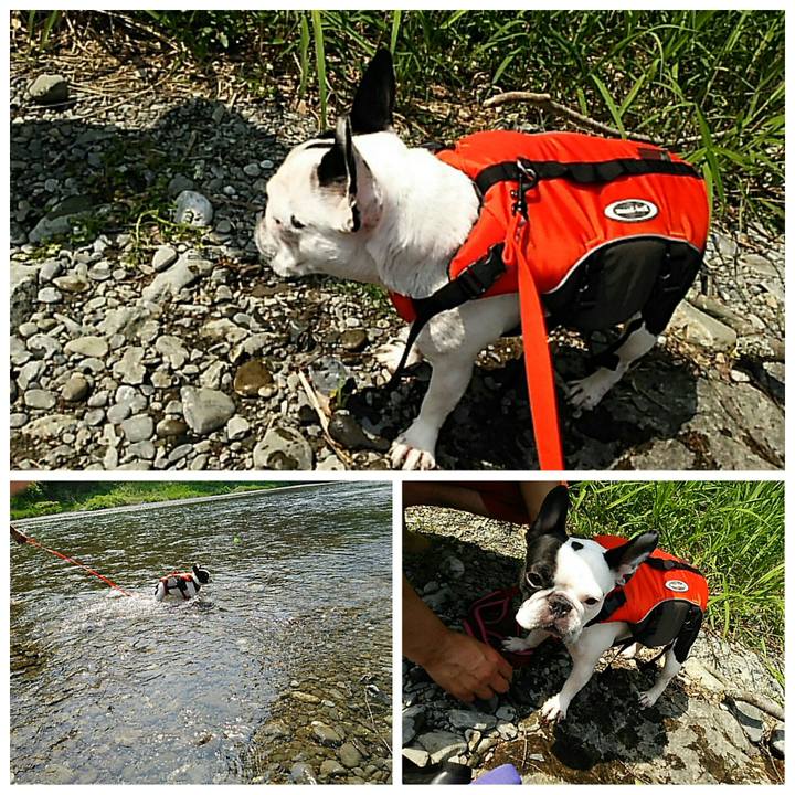 05d52e08 5456 4983 8cc9 748cce8669e5