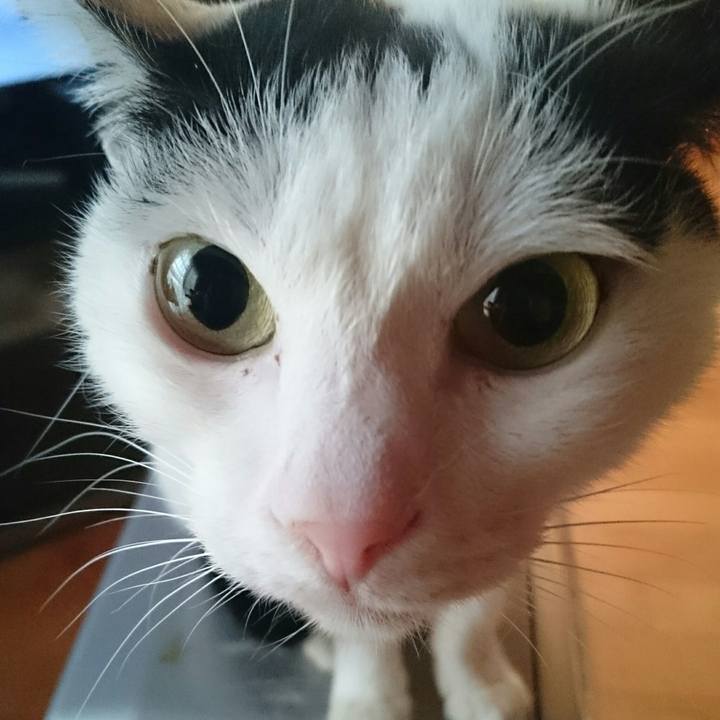 05d564ef 0b9f 4e5d bc2e 1e6f28172cfa