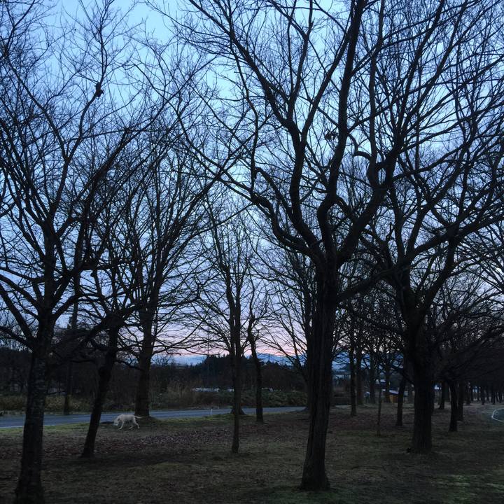 05d5b9dd 15b3 4016 89c1 d1bd51ced20e