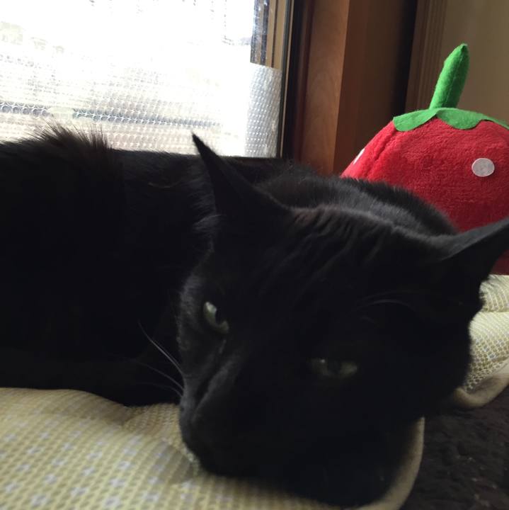 05d64ffc e2ae 46be aafe dd1a0cc8a041