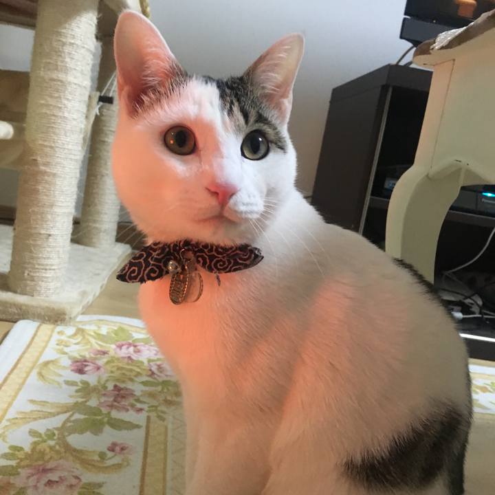 05d729ae 660f 4409 8961 dd88bbc5229b