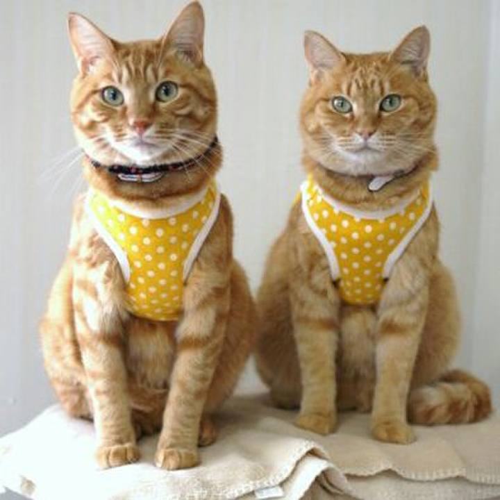 05d73762 bd07 4e20 be9f 8dc38c827ae4