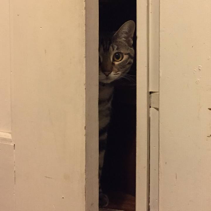 05d7fdb1 05ac 4eb3 8aa7 289234973543