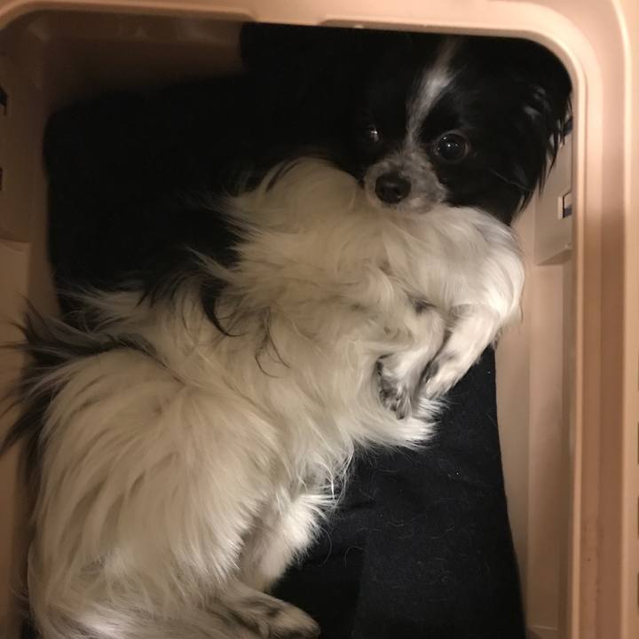 05d83373 cf9c 4837 bef1 2698e6feeb9c