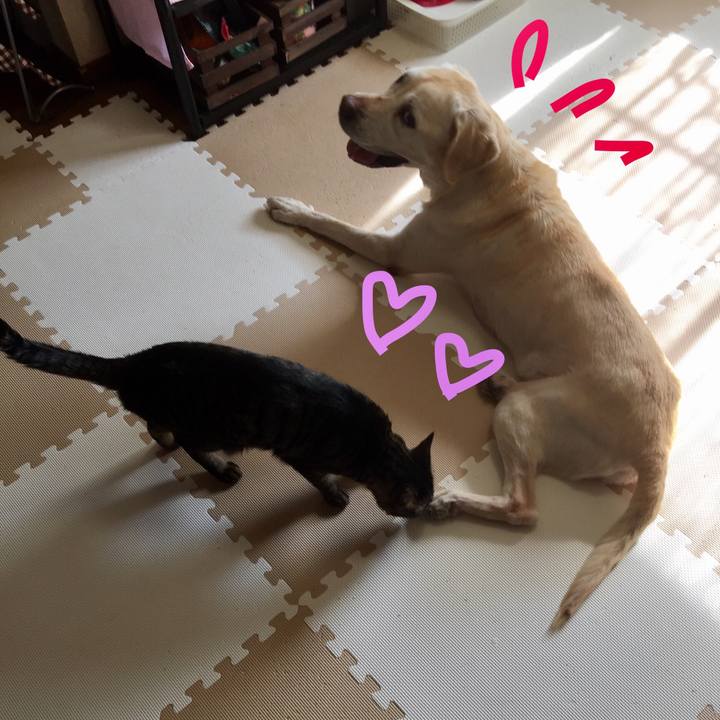 05d8d646 cb60 4cff a1db f1a481f02b48