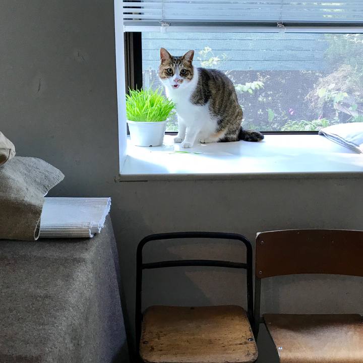 05d93951 789e 4547 833e 18524aebf912